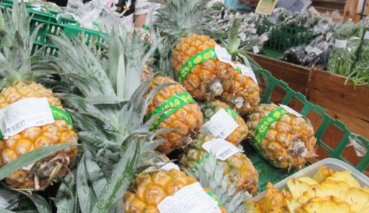 おんなの駅「なかゆくい市場」で絶品ウニソースほか食べてみた！