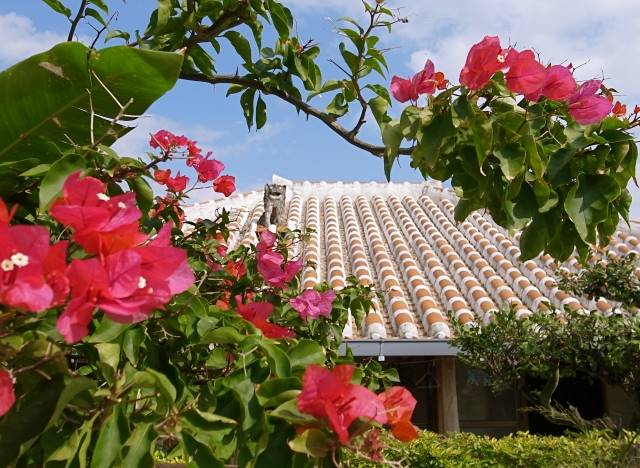 沖縄の家と景色